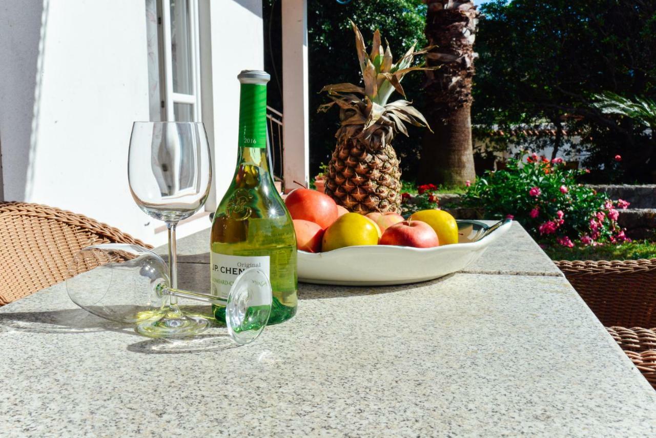 Apartment Waterfront Petrovina